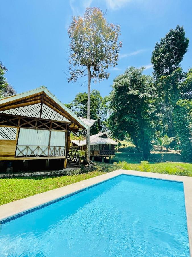 La Magia Bungalows Puerto Viejo de Talamanca Eksteriør bilde